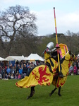 FZ013165 Yellow knight jousting.jpg